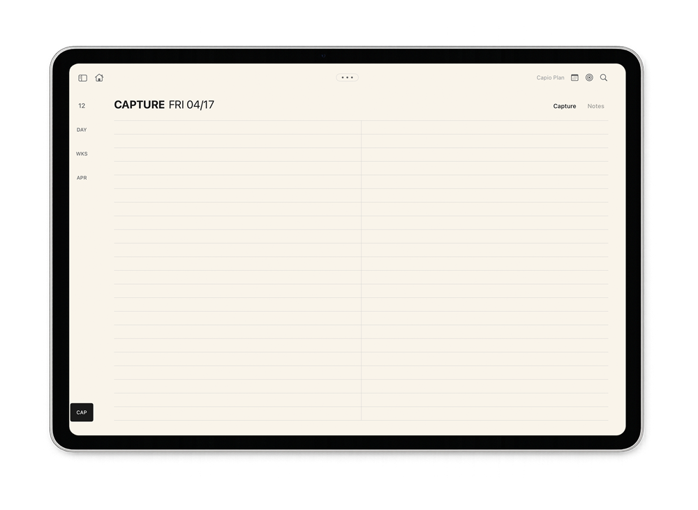 Capture view